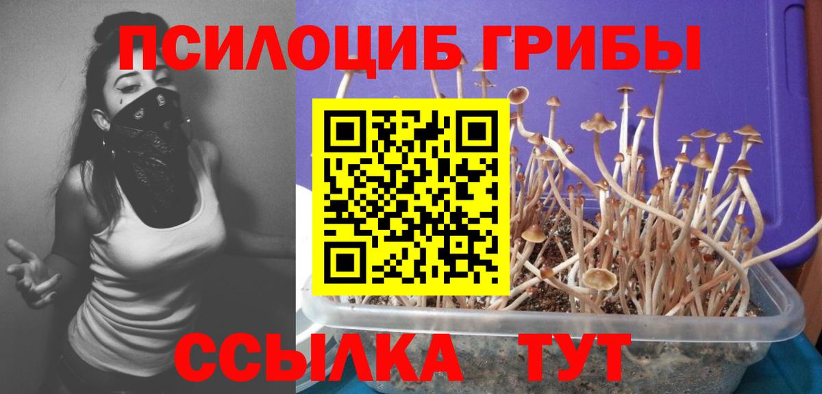 Псилоцибиновые грибы мицелий  Галлюциногенные грибы мухоморы  Воткинск  купить   Вход с VPN 