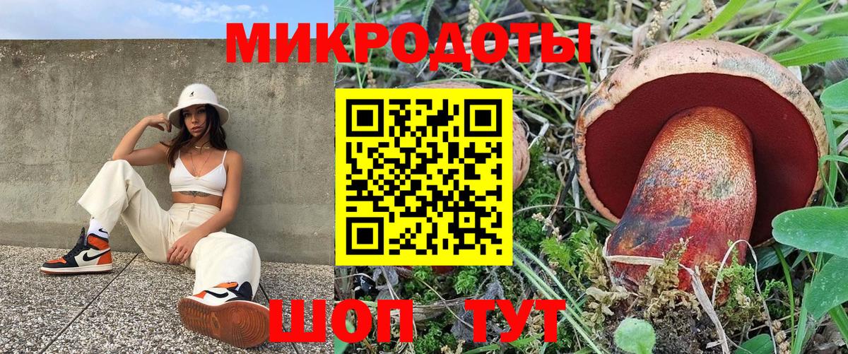 Псилоцибиновые грибы Psilocybine cubensis Воткинск